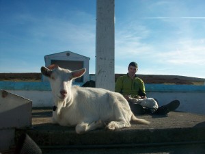 Travel Edits | Nathan Kingerlee: Travelling Ireland with a Dog and a Goat