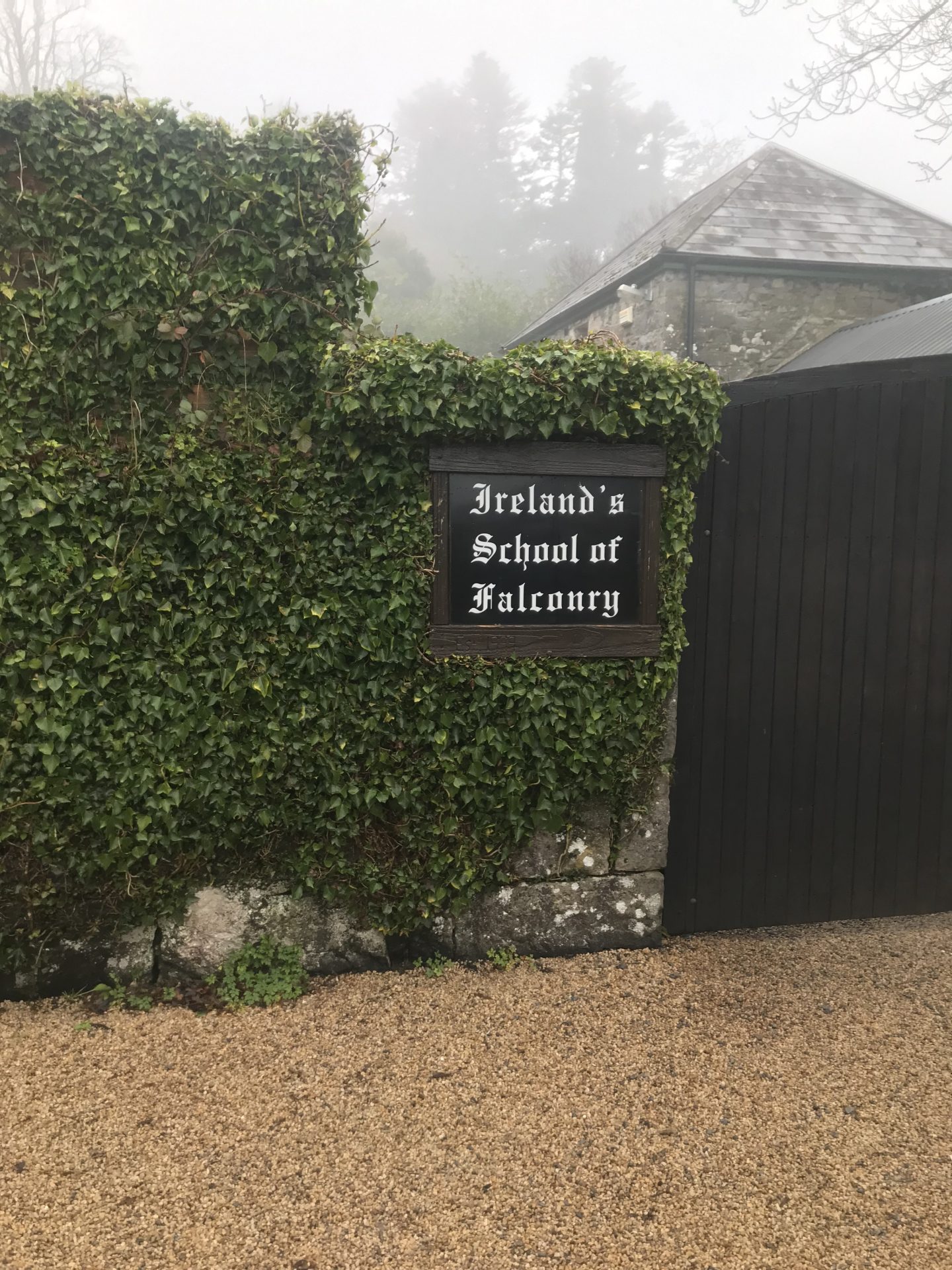 Ireland's School of Falconry